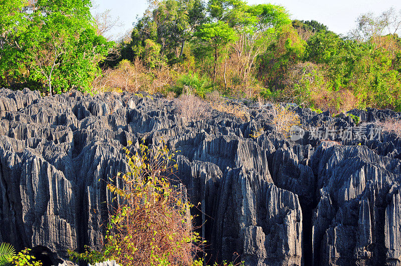 马达加斯加的Tsingy de Bemaraha